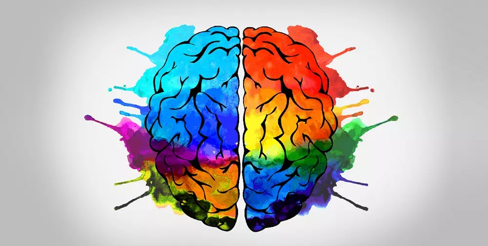تاثیر رنگ ها در زندگی ما 